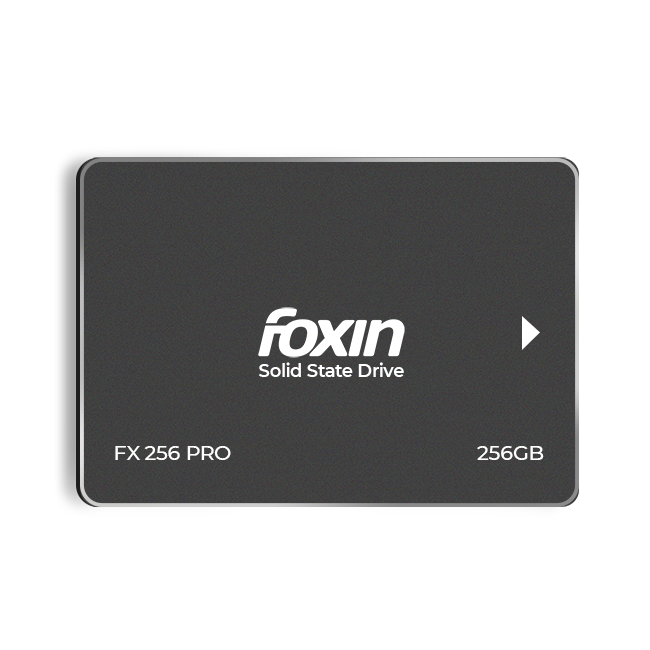 SATA SSD 256 GB Pro