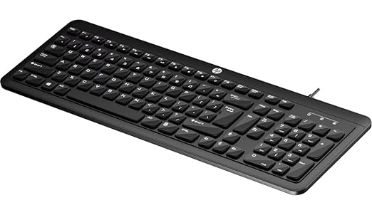HP K160 Wired Keyboard